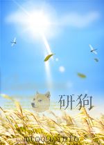 世界贸易组织建议的新课题及发展中国家的利益 PDF电子版封面 许国平