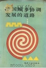 中国城乡协调发展的道路  1989年西安《城乡发展和边区与少数民族地区发展研讨会》论文集   1991  PDF电子版封面  7224021016  何金铭，周尔鎏主编 