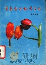 席慕蓉诗词钢笔字帖 1990 PDF电子版封面 7539801468 曹宝麟书