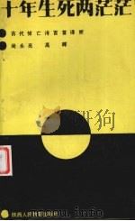 十年生死两茫茫  古代悼亡诗百首译析   1989  PDF电子版封面  7541908614  尚永亮，高晖编 