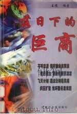 落日下的巨商   1999  PDF电子版封面  7204044711  王远编著 
