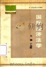 国际经济法学   1989  PDF电子版封面  7206004059  丁启明主编 