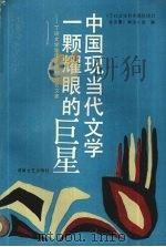 中国现当代文学一颗耀眼的巨星 丁玲文学创作国际研讨会文集 1994 PDF电子版封面 7540412704 《丁玲文学创作国际研讨会文集》编选小组编