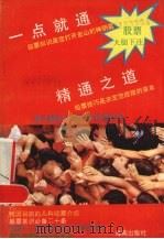 《一点就通》《精通之道》股票大胆下注 1992 PDF电子版封面 780541128X 白云编
