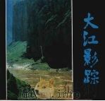 大江影踪 1994 PDF电子版封面 7531410419 沈延太著