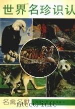 世界名珍识认  名禽名兽（1991 PDF版）