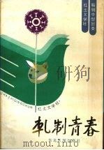 轧制青春（1994 PDF版）