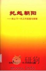 托起朝阳：关心下一代工作实践与探索（ PDF版）