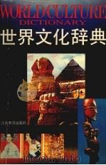 世界文化辞典 1994 PDF电子版封面 7539210915 裘克安,洪永珊主编