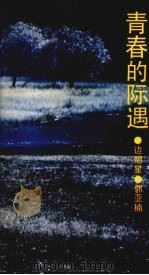 青春的际遇（1992 PDF版）