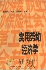 实用劳动经济学   1989  PDF电子版封面  7218004156  黄德鸿等主编 
