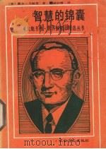 智慧的锦囊 1987 PDF电子版封面 7504801267 (美)戴尔·卡耐基著;梁识梅译