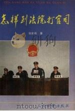 怎样到法院打官司 1992 PDF电子版封面 780056150X 张世琦著