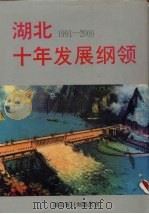 湖北十年发展纲领 1991-2000 1992 PDF电子版封面 7216009290 湖北省计划委员会编