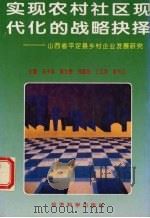 实现农村社区现代化和战略抉择 山西省平定县乡企业发展研究 1994 PDF电子版封面 7505807528 冯子标主编;靳共元等著