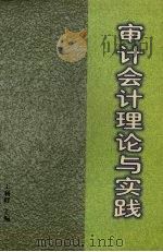 审计、会计理论与实践 1998 PDF电子版封面 7205041325 王利群主编