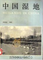 中国湿地 1990 PDF电子版封面 7561706987 陆健健编著