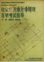 社会经济统计学原理自学考试指导   1991  PDF电子版封面  7810055372  赵振伦，曲炳全主编 