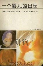一个婴儿的出世（1991 PDF版）