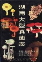 湖南大型真菌志 1993 PDF电子版封面 7810313304 李建宗等著;刘林翰图版绘编