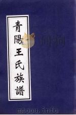 青阳王氏族谱     PDF电子版封面     