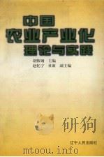 中国农业产业化理论与实践 1999 PDF电子版封面 7205043670 胡鞍钢主编