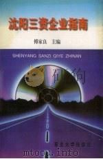 沈阳三资企业指南 1995 PDF电子版封面 781054005X 傅家良主编