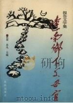 辽南乡下父母官 报告文学集 1991 PDF电子版封面 7805565945 荒原,未凡主编
