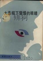 大盖帽下警惕的眼睛 1986 PDF电子版封面 10398·32 叶永烈著