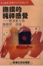 抚摸的纯粹感觉 新表象小说 1994 PDF电子版封面 7805872422 陈晓明选编