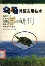 乌龟养殖实用技术 1998 PDF电子版封面 7535221742 罗继伦等编著