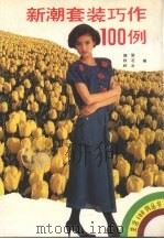 新潮套装巧作100例（1992 PDF版）