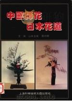 中国插花 日本花道 摄影集 中日文本 1995 PDF电子版封面 7543907364 (日)山本玉岭,蔡仲娟主编