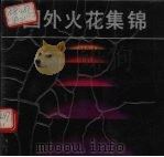 国外火花集锦 1986 PDF电子版封面 8381·289 何文著;何新宇藏