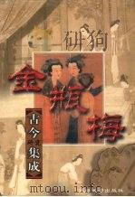 《金瓶梅》探谜集成（1999 PDF版）