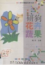 彩色棒针图案花样大系  1  花卉蔬果（1998 PDF版）