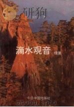 滴水观音续集（1993 PDF版）