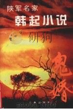 鬼婚 1995 PDF电子版封面 7805468885 韩起著