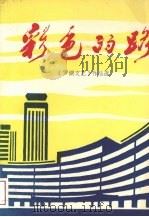 彩色的路 1987 PDF电子版封面 《罗湖文艺》作品选
