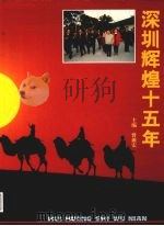 深圳辉煌十五年 1995 PDF电子版封面 10051996 曾曲宏主编
