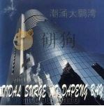 潮涌大鹏湾  深圳市社会发展成就画册  中英文本（ PDF版）