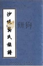 沙堤龚氏族谱 PDF电子版封面