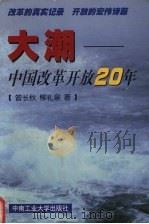 大潮-中国改革开放20年 1998 PDF电子版封面 7810611372 曾长秋;柳礼泉