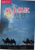 岭上枫红 1996 PDF电子版封面 7805275971 丁振阳著
