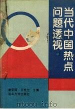 当代中国热点问题透视（1995 PDF版）