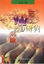 药到猪病除（1999 PDF版）