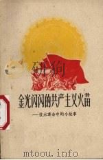 金光闪闪的共产主义火苗 技术革命中的小故事 1960 PDF电子版封面 10078·1572 共青团上海市委宣传部,上海文艺出版社编