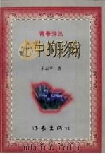 心中的彩球 1999 PDF电子版封面 7506317389 王志平著