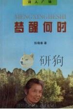 梦醒何时（1996 PDF版）