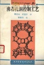 沸石孔洞控制工艺 1992 PDF电子版封面 7561305567 (比利时)范桑特,E.F.著